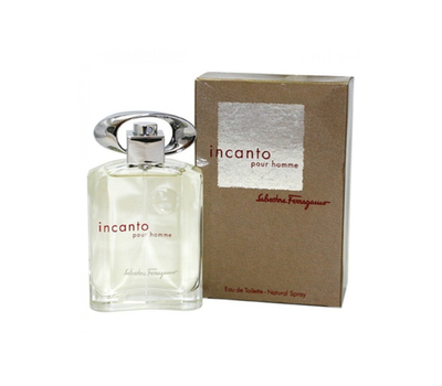 Salvatore Ferragamo Incanto Pour Homme 193941