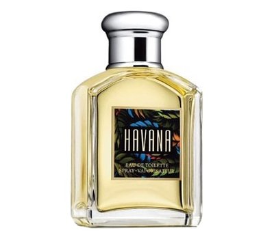 Aramis Havana Men 99805