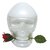 Christian Audigier Ed Hardy Skulls & Roses for Her 58346